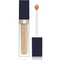 Estée Lauder Futurist Soft Touch Brightening Skincealer korektor za posvjetljivanje lica nijansa 2W 6 ml