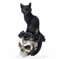 Dekoration ALCHEMY GOTHIC - Black Cat & Skull