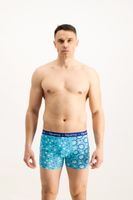 Men's boxers Frogies Zodiac Wassermann