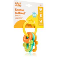 Bright Starts Teether & Rattle брязкальце з прорізувачем 3m+ 1 кс