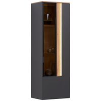 Dieter Knoll ZÁVESNÁ VITRÍNA, antracitová, farba duba, 45,6/139,4/36 cm