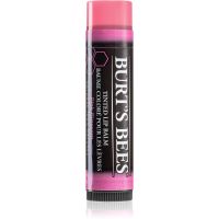 Burt’s Bees Tinted Lip Balm balzam za ustnice odtenek Pink Blossom 4.25 g