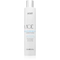 ASP MODE Moisture Boost Conditioner intensiv feuchtigkeitsspendender Conditioner 250 ml
