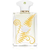 Amouage Bracken Eau de Parfum για άντρες 100 ml
