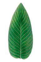 Costa Nova Servírovací tanier Costa Nova Riviera Strelizia 40 cm