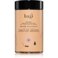 Hagi Bath Salt Spicy Orange sol za kopel 480 g