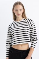 DEFACTO Cool Loose Fit Crew Neck Striped Long Sleeve T-Shirt