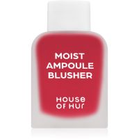 House of Hur Moist Ampoule Blusher tekuće rumenilo mini nijansa 09 Ruby Red 10 ml