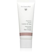Dr. Hauschka Regeneration відновлюючий денний крем проти зморшок 40 мл