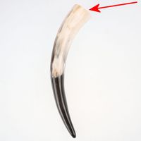Wikinger Horn - BESCHÄDIGT