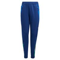 ADIDAS PERFORMANCE Sportske hlače 'Tiro 24'  plava