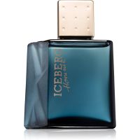 Iceberg Homme Eau de Toilette für Herren 100 ml