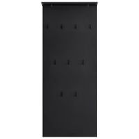 MID.YOU VEŠIAKOVÝ PANEL, čierna, 50/110,6/20,9 cm