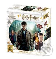 Harry Potter 3D puzzle - Harry, Hermiona a Ron - puzzle z kategorie 3D puzzle
