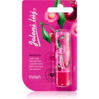 Regina Juicy Summer Cherry mazilo za ustnice 4,5 g