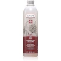 Kemon Group Shampoo Protezione Shampoo zum Schutz der Farbe 250 ml