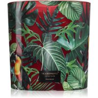 Vila Hermanos Jungletopia Wild Musk dišeča sveča 1450 g