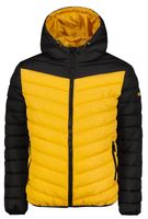 Men&#039;s winter jacket Frogies