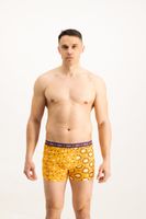 Men's boxers Frogies Zodiac Lew
