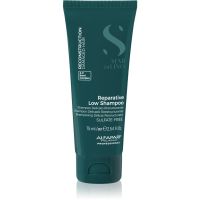 Alfaparf Milano Semi di Lino Reconstruction Reparative erneuerndes Shampoo für beschädigtes Haar 75 ml