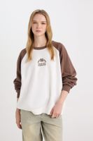 DEFACTO Cool Loose Fit Crew Neck Color Block Printed Sweatshirt