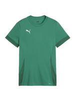 PUMA Tehnička sportska majica  sivkasto zelena / tamno zelena / bijela