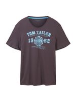 TOM TAILOR Majica  nebesko plava / grafit siva