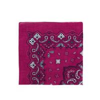 Art Of Polo Kids's Bandanna sz13914-25