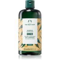 The Body Shop Ginger šampón proti lupinám 250 ml