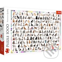 208 koček - puzzle z kategorie Zvířata