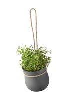 Kvetináč na bylinky Rig-Tig Grow-It