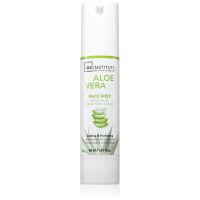IDC Institute Aloe Vera meglica za obraz 50 ml