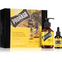 Proraso Set Beard Original подарунковий набір Wood and Spice(для бороди) для чоловіків