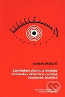 Labyrintem zločinu a chudoby (Kriminalita a viktimizace v sociálně vyloučených lokalitách) - kniha z kategorie Sociologie