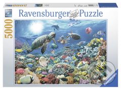 Život v korálovém útesu - puzzle z kategorie Přírodní scenérie