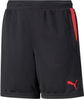 PUMA Sportske hlače 'Individualcup'  crvena / crna