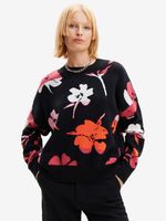 Desigual Luca Pullover Schwarz