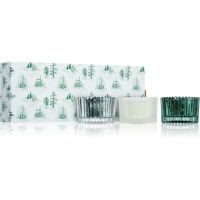 Paddywax Cypress & Fir подарунковий набір
