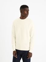 Celio Felinode Pullover Weiß