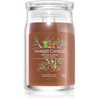 Yankee Candle Praline & Birch Duftkerze 567 g