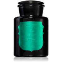 Paddywax Apothecary Noir Tabac & Pine aроматична свічка 226 гр