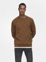 ONLY & SONS Ceres Sweatshirt Braun