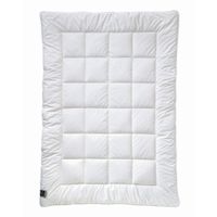 Billerbeck CELOROČNÍ PŘIKRÝVKA, 155/220 cm, polyester