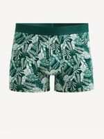 Celio Gibocanope Boxer-Shorts Grün