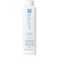 Biolage Volume Boost Shampoo für Volumen und Glanz 400 ml
