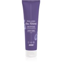 Anwen Here Comes The Shine Shining Primer For High Porosity Hair Primer Make-up Grundierung für das Haar 100 ml