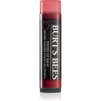 Burt’s Bees Tinted Lip Balm balzam za ustnice odtenek Red Dahlia 4.25 g