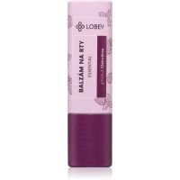 Lobey Skin Care Lip Balm balzam za ustnice odtenek Ostružina 5 g