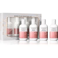 Revolution Haircare Plex Bond Restore Kit Set für trockenes und beschädigtes Haar