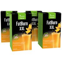 FatBurn Extreme 4-Pack: Der Super Thermo-Fatburner. Wirkt auch, wenn Sie nicht aktiv sind | 3x 15 Beutel | SlimJOY